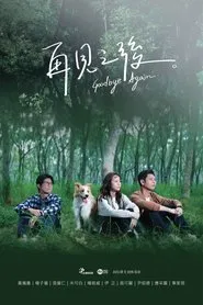 Goodbye Again tv show poster