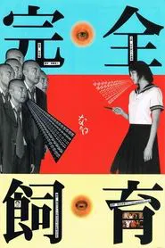 The Perfect Education movie poster