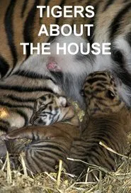 Tigers About the House tv show poster