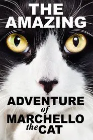 Cats: The Movie! movie poster