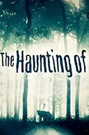 Poster da série The Haunting Of...