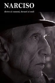 Narciso - Dietro ai cannoni, davanti ai muli movie poster