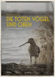 Dead Birds Flying High movie poster