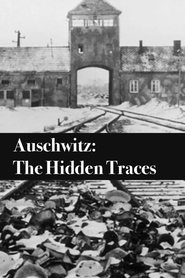 Poster do filme Auschwitz: The Hidden Traces
