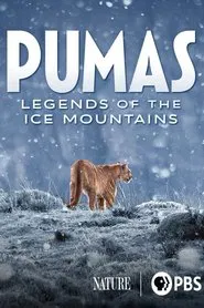 Poster do filme Pumas: Legends of the Ice Mountains