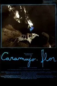 Poster do filme Caramujo-Flor