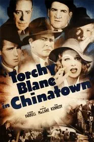 Poster do filme Vendo o China