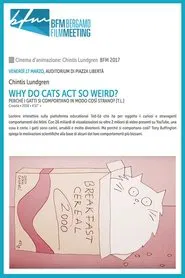 Why Do Cats Act So Weird? movie poster