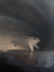 Can't Negotiate the Melting Point of Ice movie poster