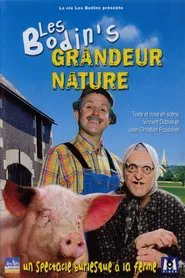 Les Bodin's - Grandeur Nature movie poster
