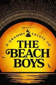 A Grammy Salute to the Beach Boys tv show poster