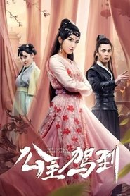 The Princess Comes Across tv show poster