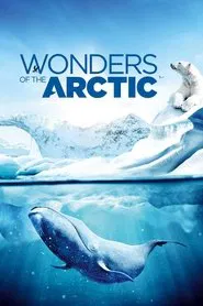 Wonders of the Arctic movie poster