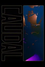 Poster do filme Caudal