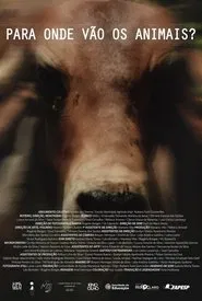 Para Onde Vão Os Animais movie poster