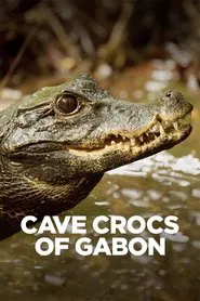 Cave Crocs of Gabon movie poster