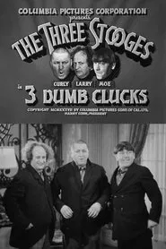 Poster do filme 3 Dumb Clucks