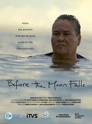 Before the Moon Falls movie poster