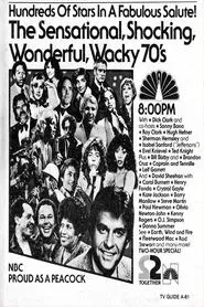 The Sensational Shocking Wonderful Wacky 70's movie poster
