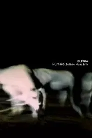 Elegy movie poster