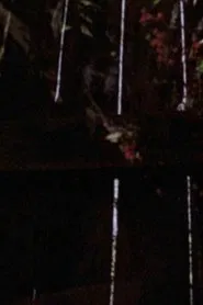 Poster do filme Garden Glimpses