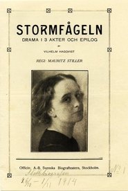 Stormfågeln movie poster