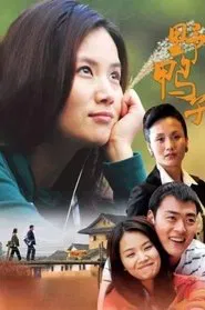野鸭子 tv show poster