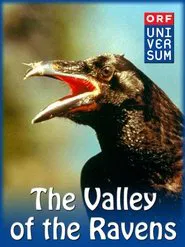 Valley of the Ravens movie poster