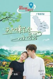 Fallen Love tv show poster