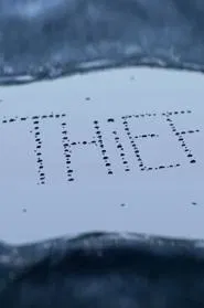 Thief movie poster