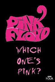 The Pink Floyd Story: Which One's Pink? movie poster