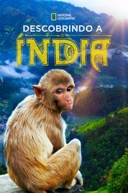 Poster da série Descobrindo a Índia