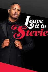 Leave It to Stevie tv show poster
