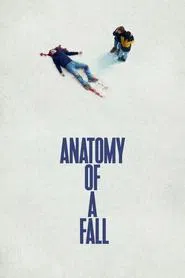 Anatomy of a Fall movie poster