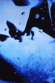 Self-Portrait in 23 Rounds: a Chapter in David Wojnarowicz’s Life, 1989–1991 movie poster