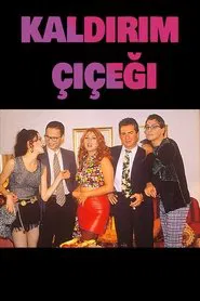 Poster da série Kaldırım Çiçeği