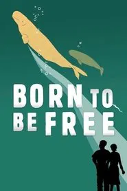 Born to Be Free movie poster