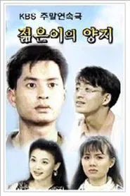 A Sunny Place of the Young tv show poster