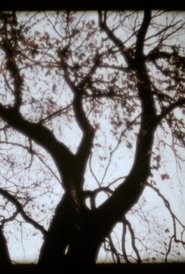 We Deh Here movie poster