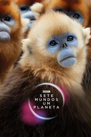 Poster da série Sete Mundos, Um Planeta