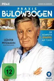 Praxis Bülowbogen tv show poster