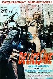 Delicesine movie poster