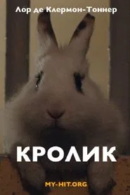 Rabbit movie poster