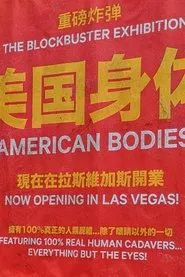 Poster do filme American Bodies