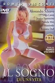 Poster do filme Il sogno di una vita
