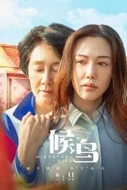 Migrant Bird movie poster
