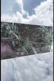 AFLUENCIA movie poster