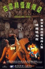 Shocking Asia movie poster