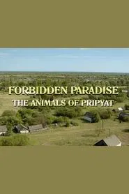 Chernobyl movie poster