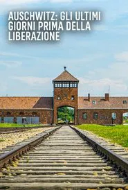 Auschwitz: Countdown to Liberation movie poster